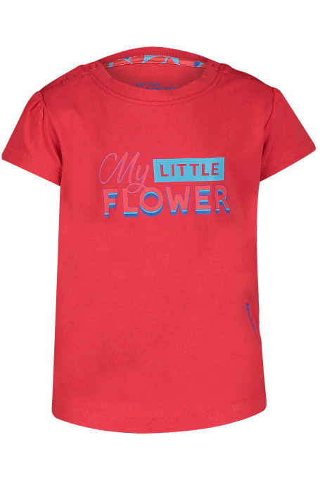 images/productimages/small/franny-red-1.png
