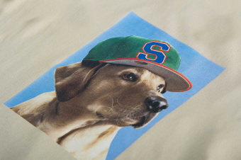 images/productimages/small/hond-2.png