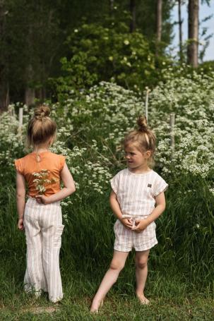 images/productimages/small/t46937-37-0-06.jpg