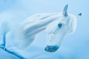 Horselover