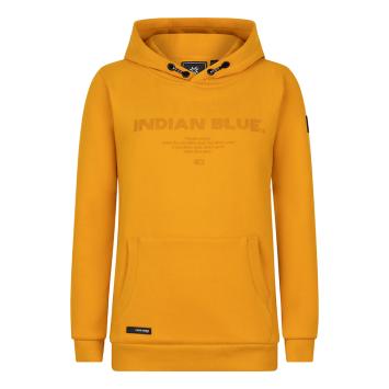Hoodie Golden